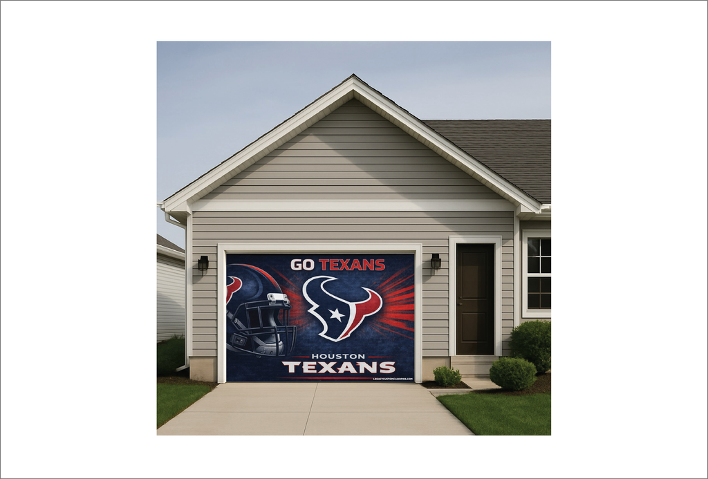 Texans Helmet