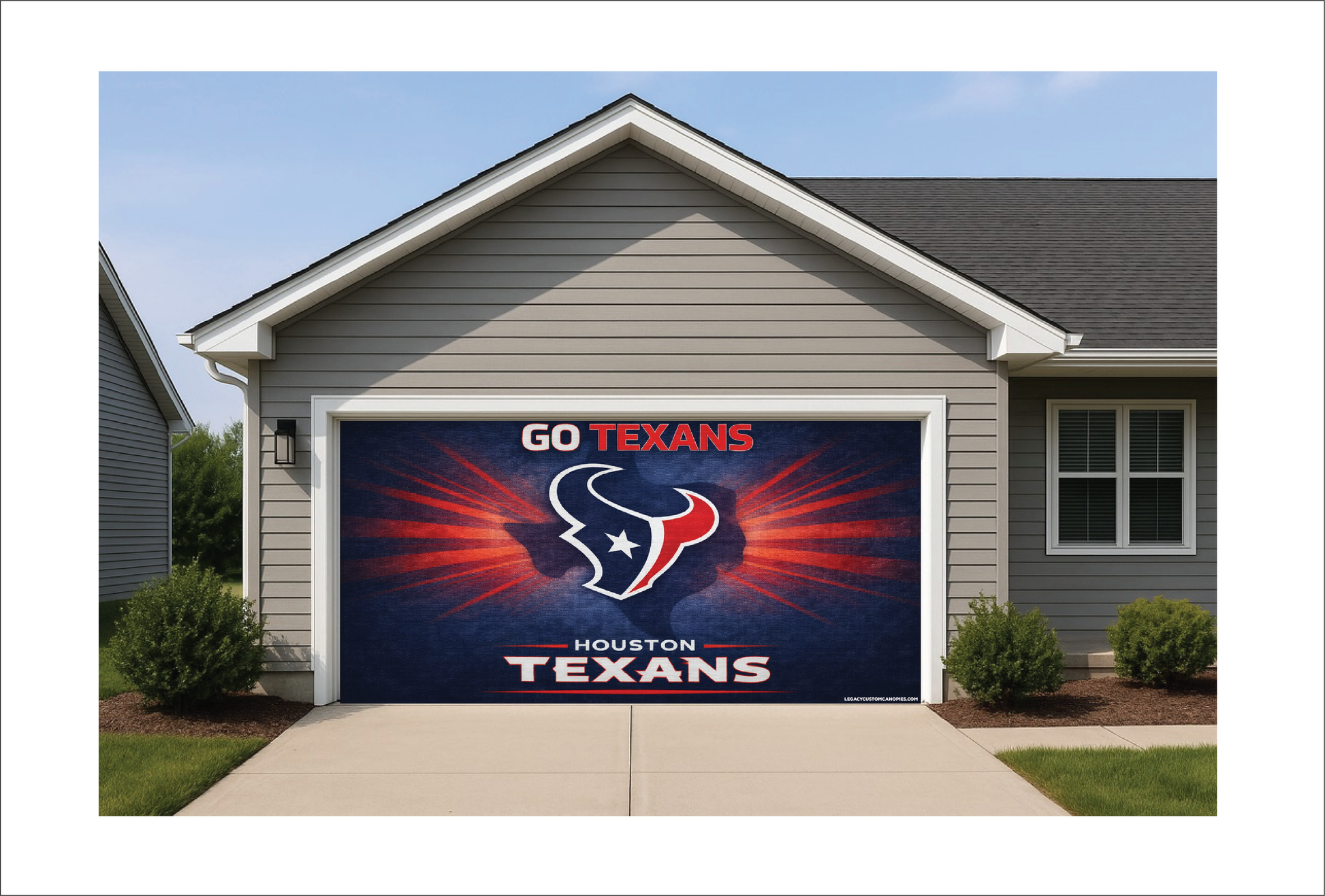 Go Texans