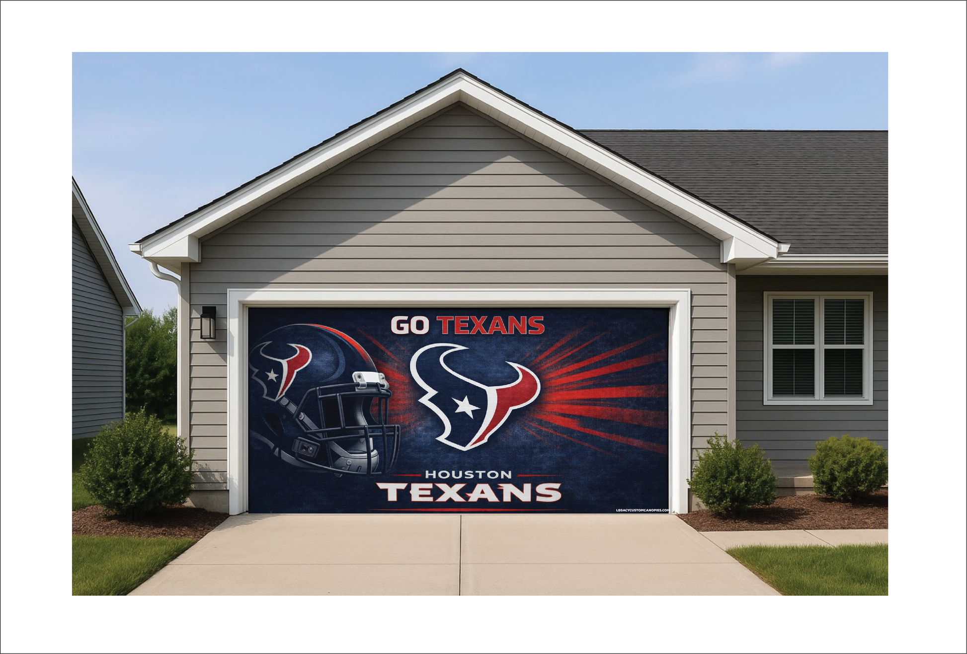 Texans Helmet