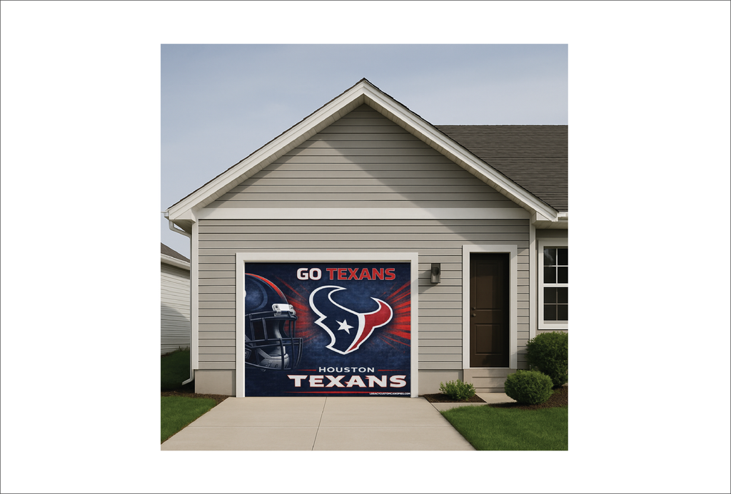 Texans Helmet