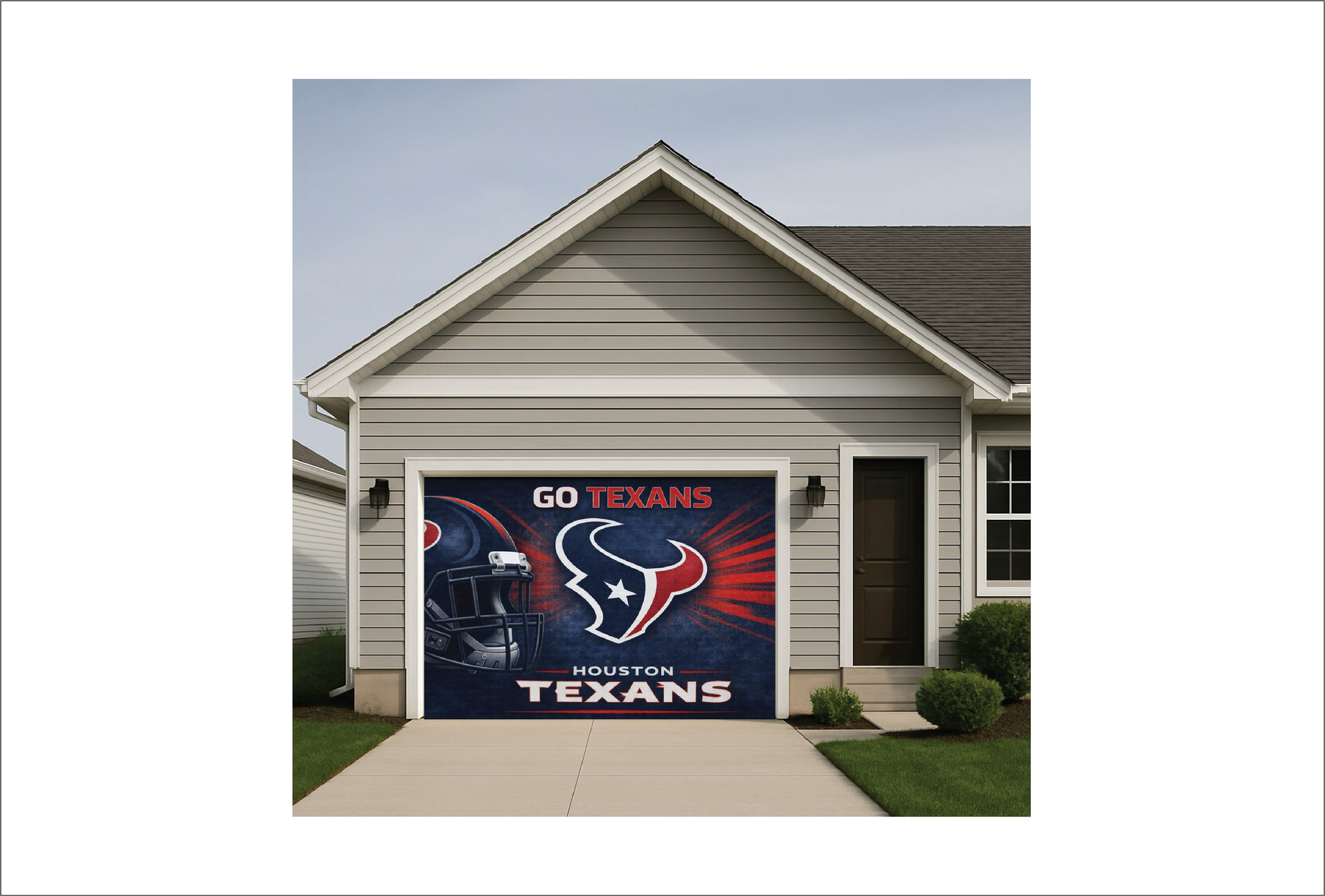 Texans Helmet