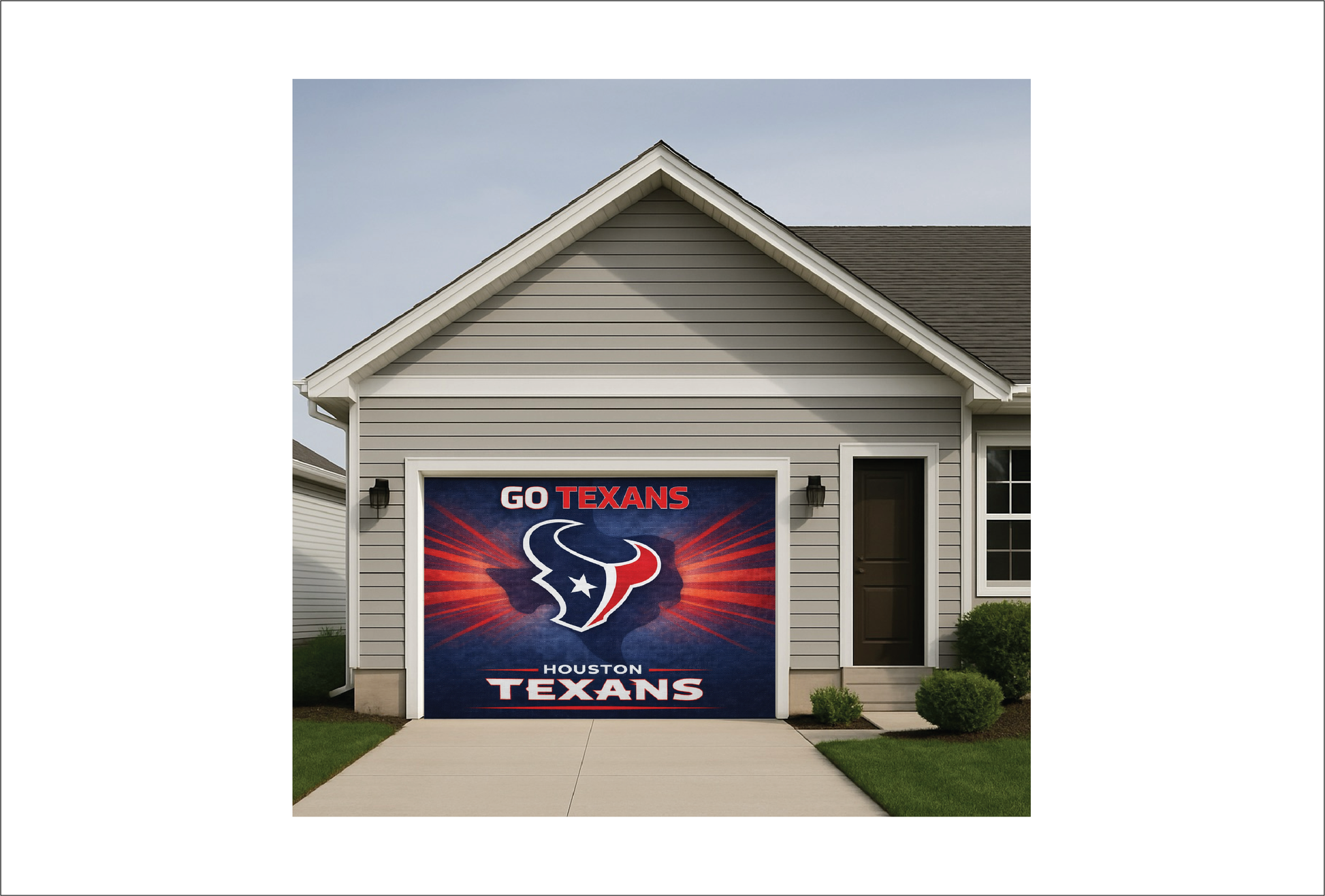 Go Texans